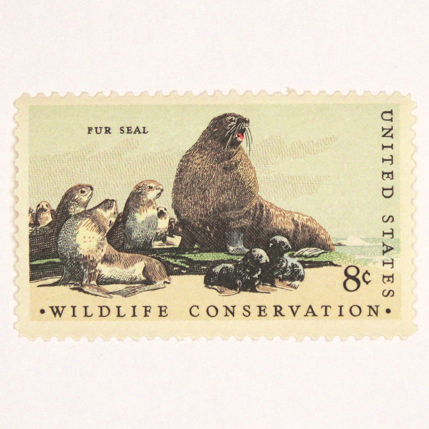 8c Fur Seal Stamps - Pack of 10