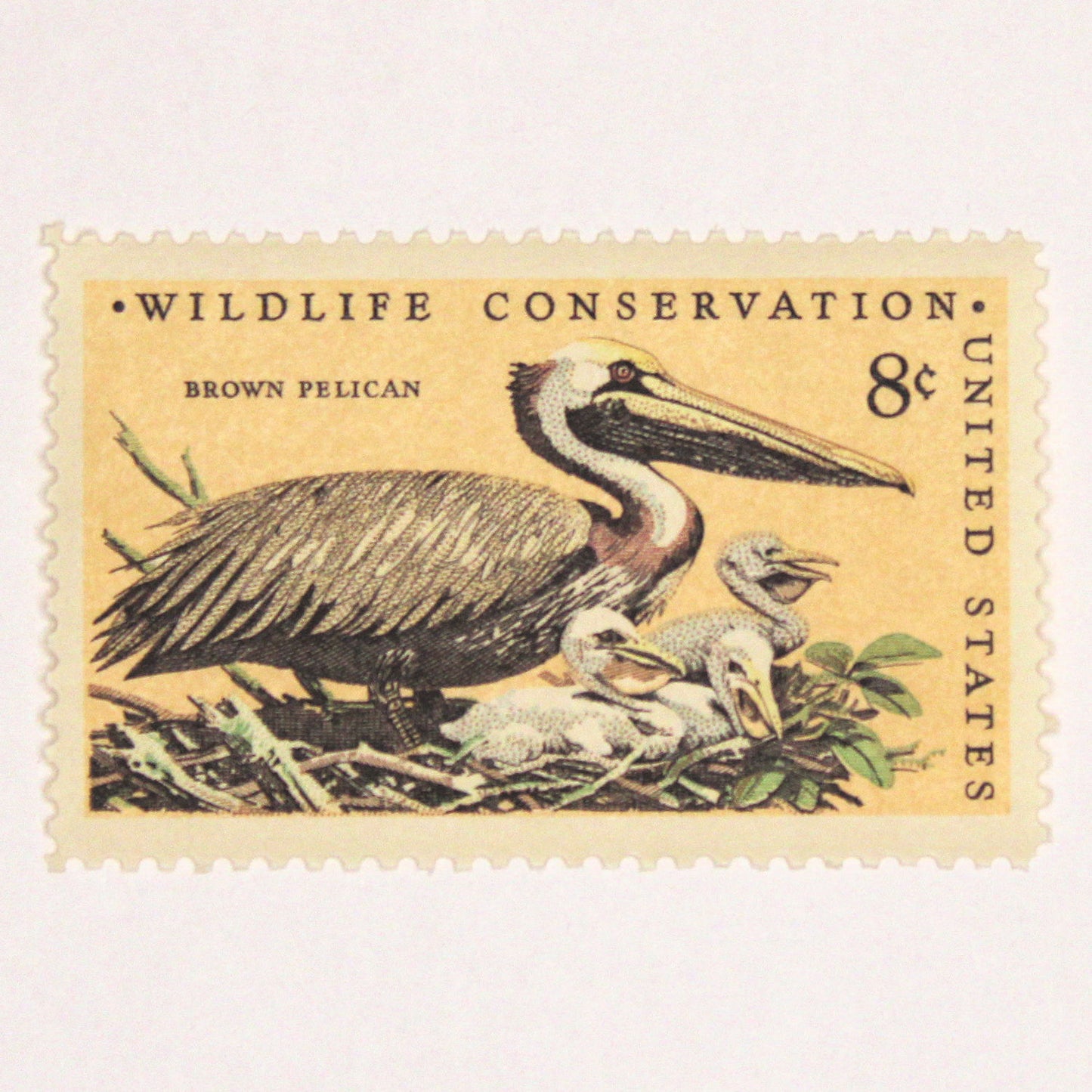 8c Brown Pelican Stamps - Pack of 10