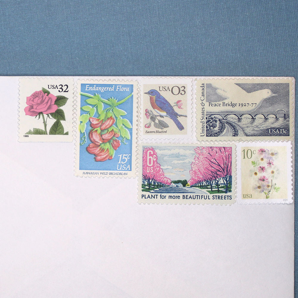 LOVE Pink and Blue - Mail 5 Letters