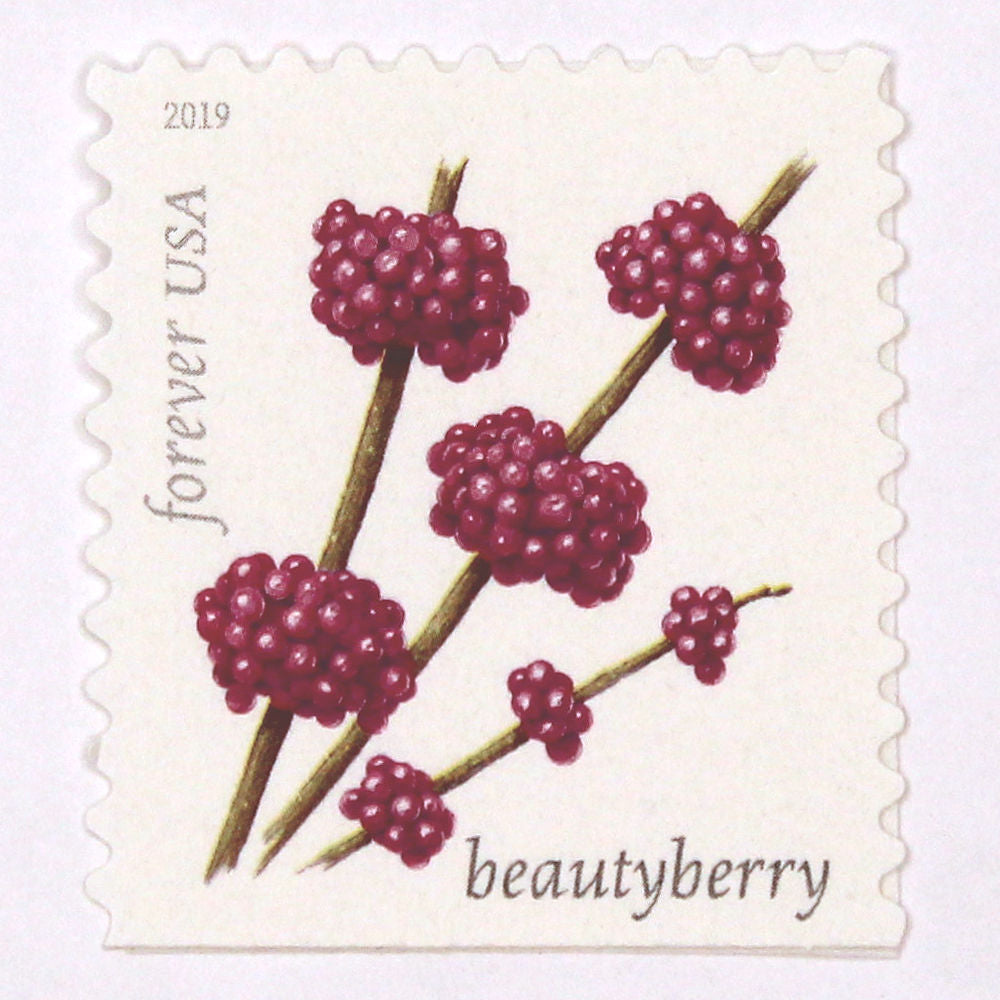 Beautyberry Forever Stamps - Pack of 5