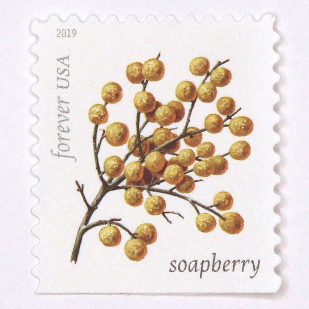 Soapberry Forever Stamps - Pack of 5