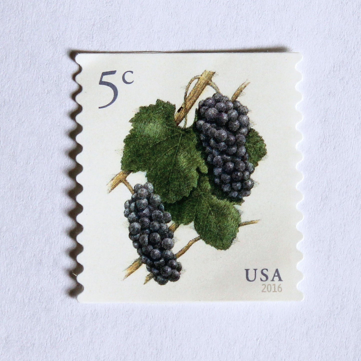 5c Grape Stamps .. Unused US Postage Stamps .. Pack of 20