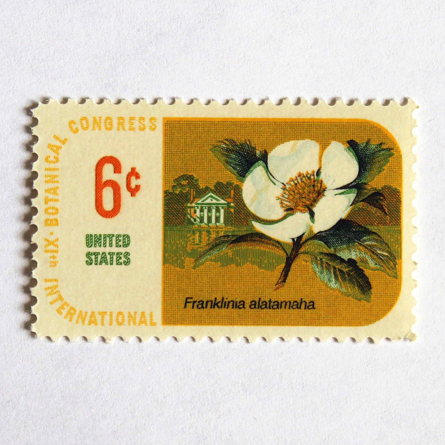 6c Franklinia Stamps .. Vintage Unused US Postage Stamps .. Pack of 5