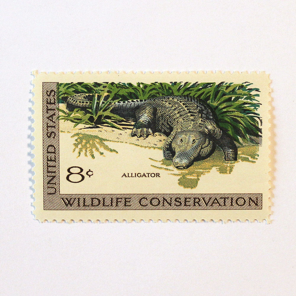 8c Alligator Stamps - Pack of 5