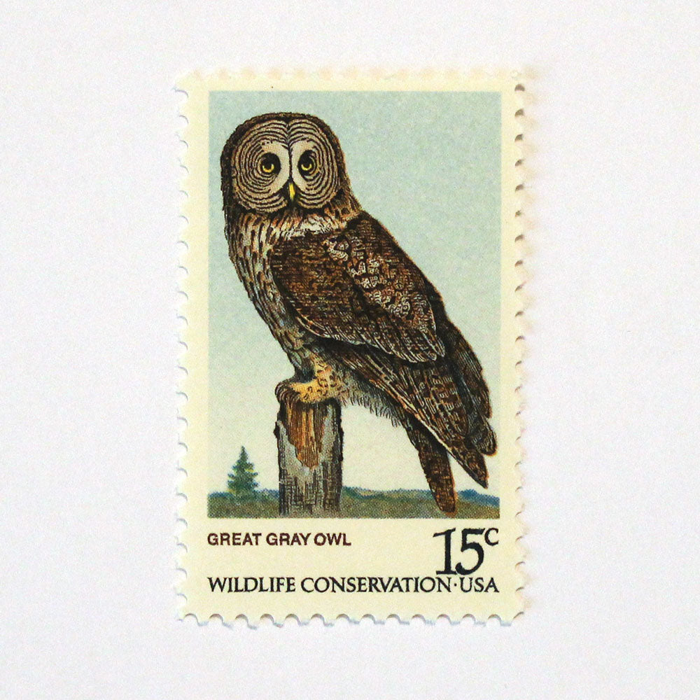 15c Great Gray Owl Stamps - Pack of 10