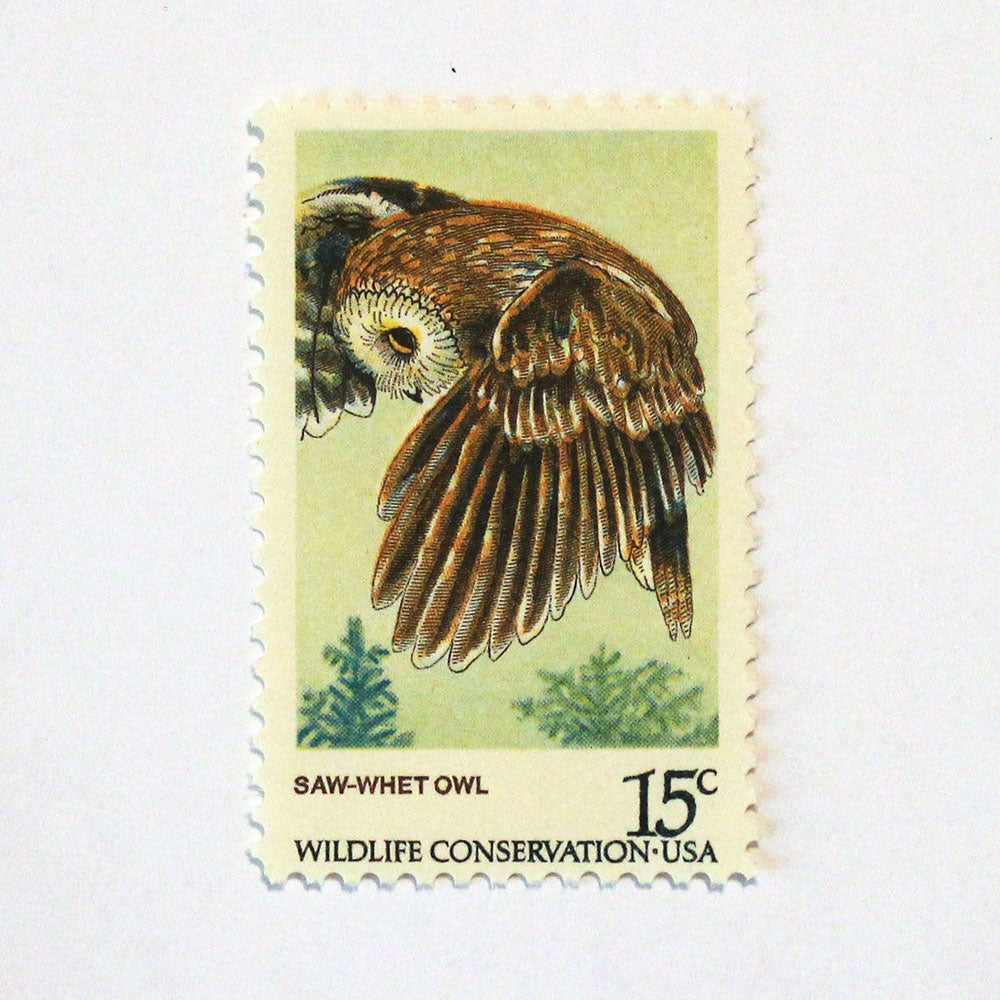 15c Saw-Whet Owl Stamps - Pack of 10