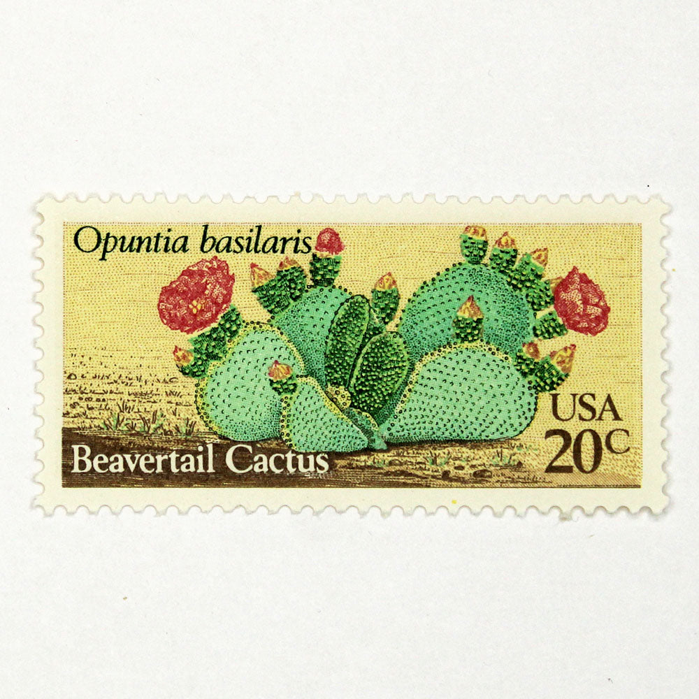 20c Beavertail Cactus Stamps - Pack of 5