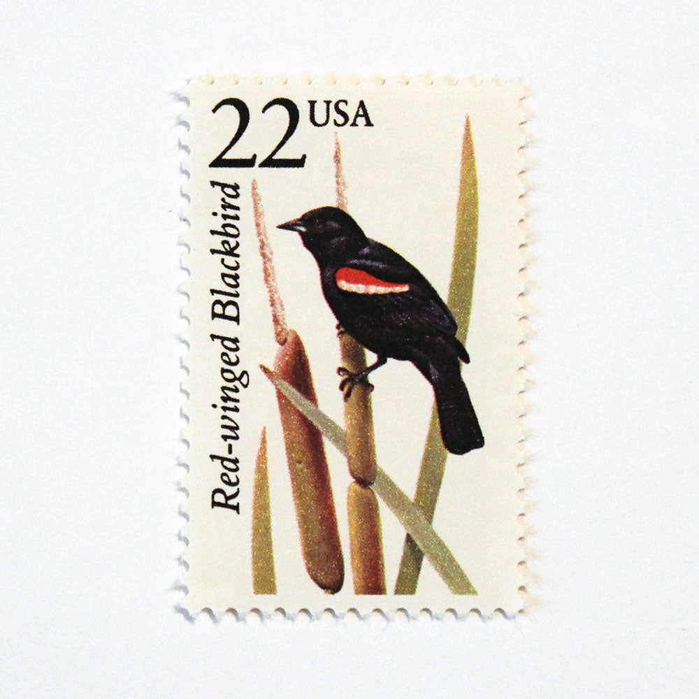 22c Red-winged Blackbird Wildlife Stamps - Pack of 5