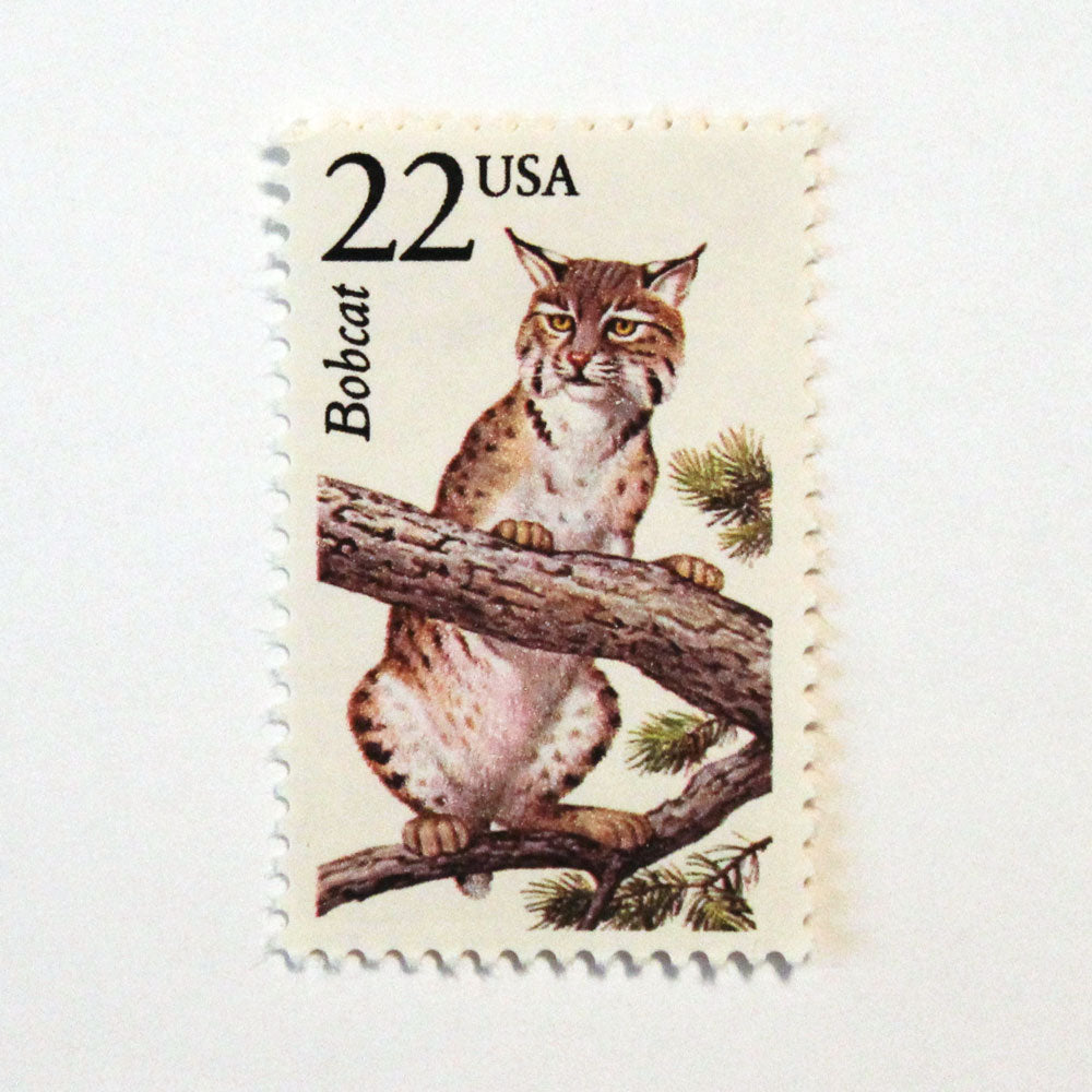 22c Bobcat Wildlife Stamps - Pack of 5