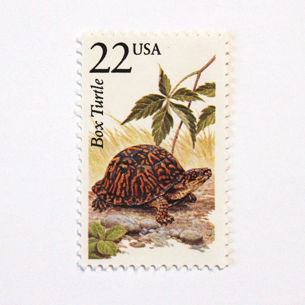 22c Box Turtle Wildlife Stamps - Pack of 5