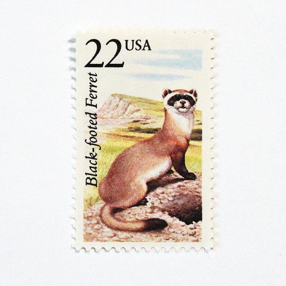 22c Ferret Wildlife Stamps - Pack of 5