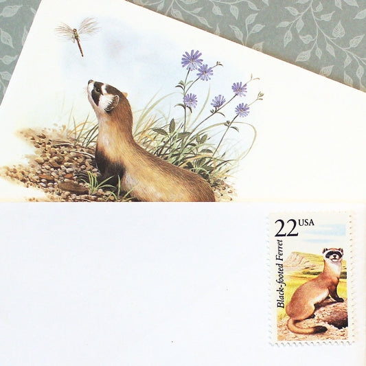 22c Ferret Wildlife Stamps - Pack of 5