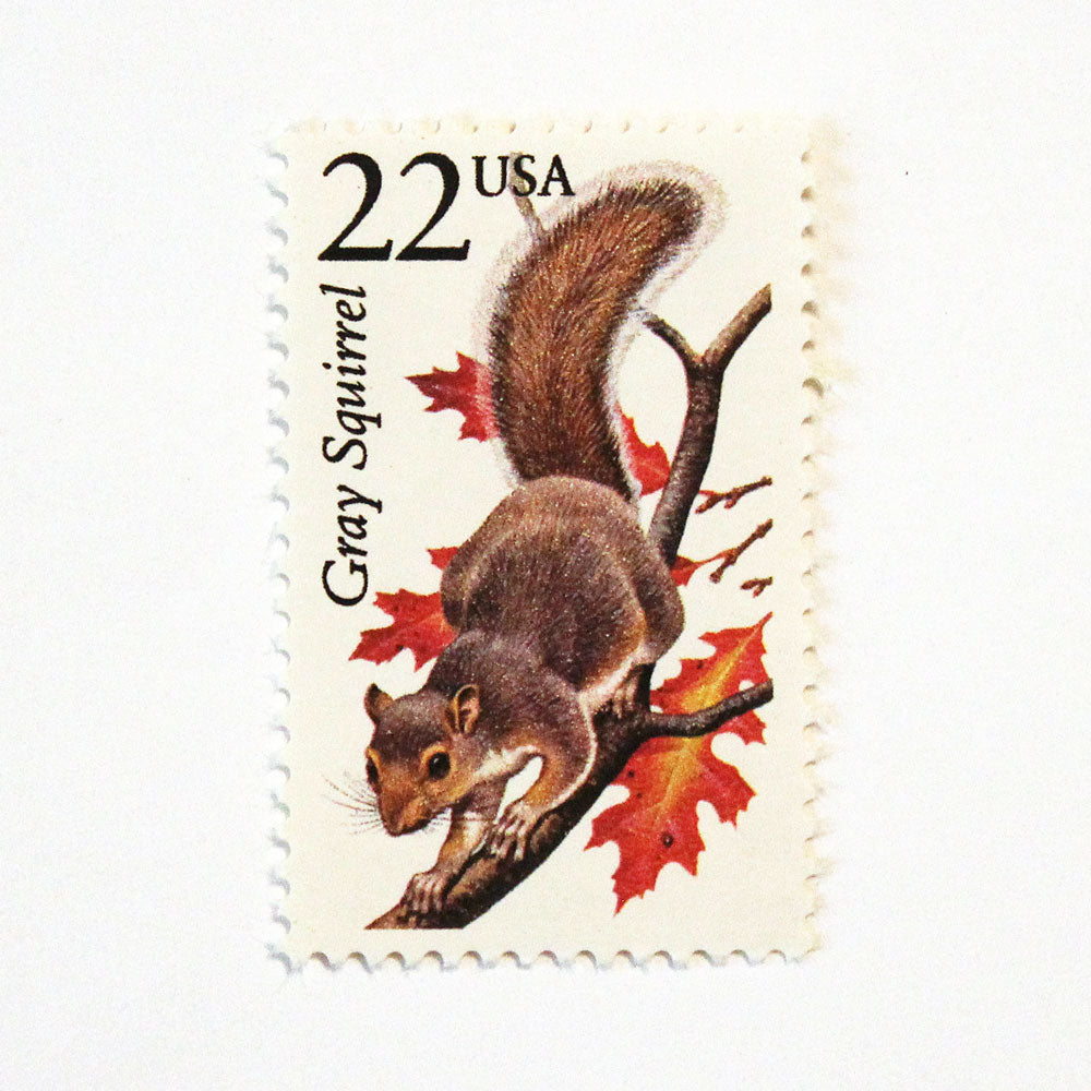 22c Gray Squirrel Wildlife Stamps - Pack of 5