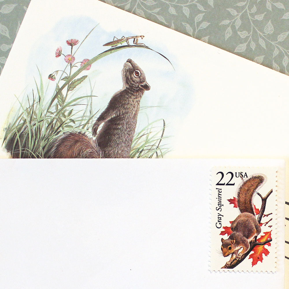 22c Gray Squirrel Wildlife Stamps - Pack of 5