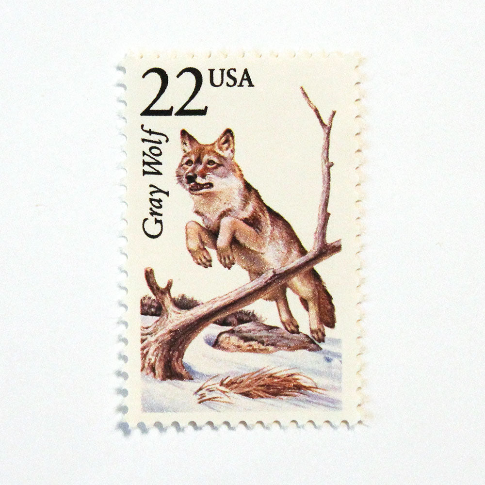 22c Gray Wolf Wildlife Stamps - Pack of 5