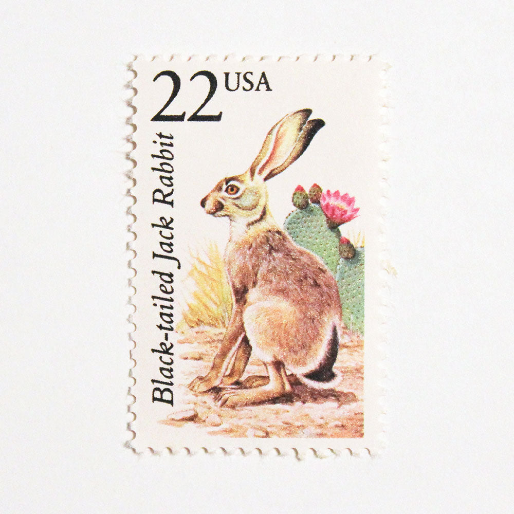 22c Jack Rabbit Wildlife Stamps - Pack of 5