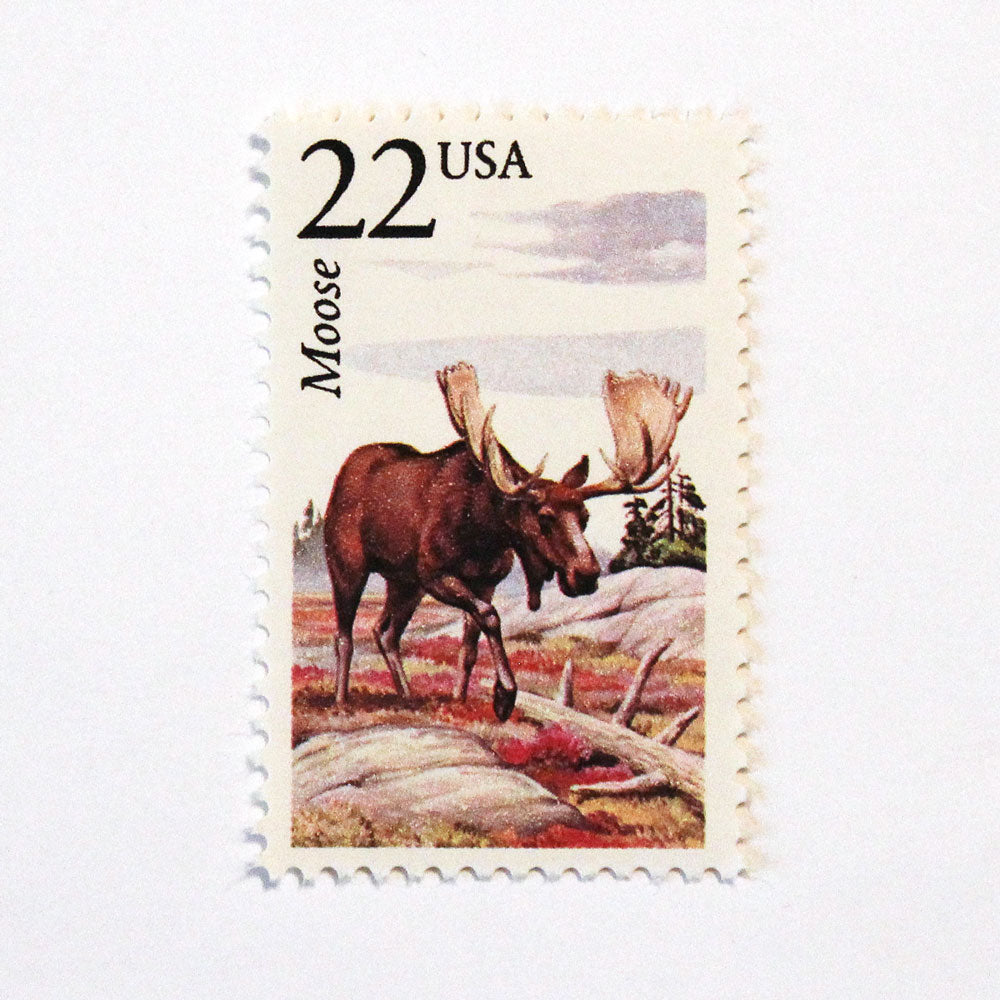 22c Moose Wildlife Stamps - Pack of 5