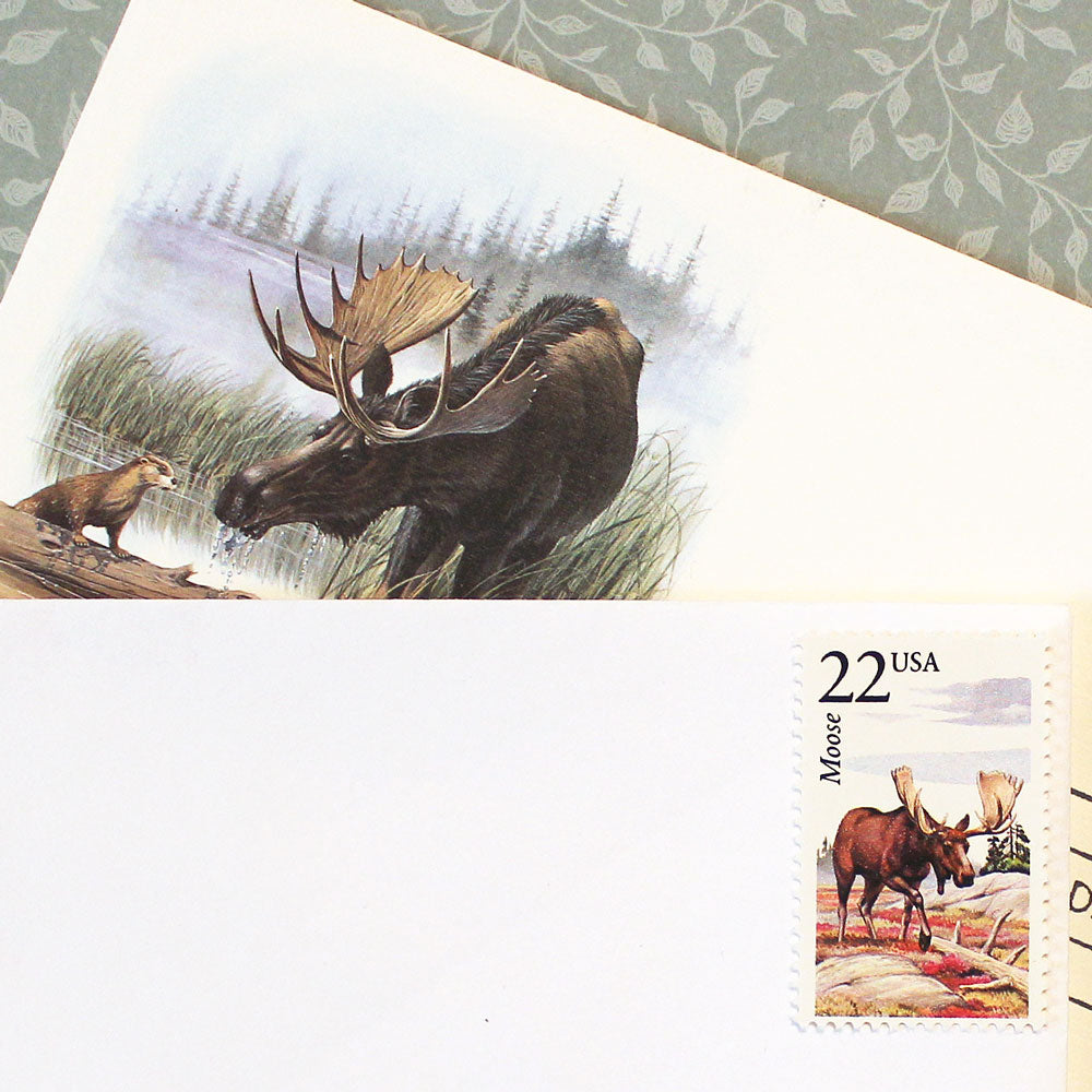 22c Moose Wildlife Stamps - Pack of 5
