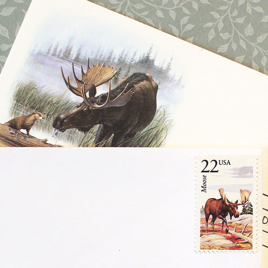 22c Moose Wildlife Stamps - Pack of 5