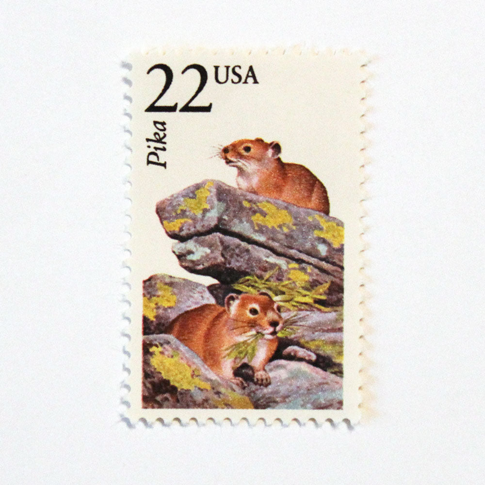 22c Pika Wildlife Stamps - Pack of 5