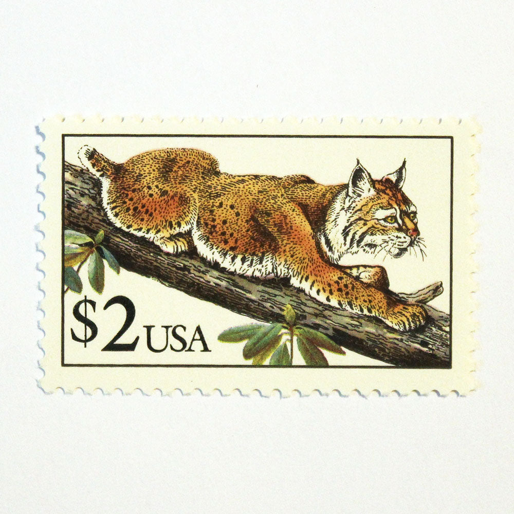 $2 Bobcat Stamps - Pack of 5