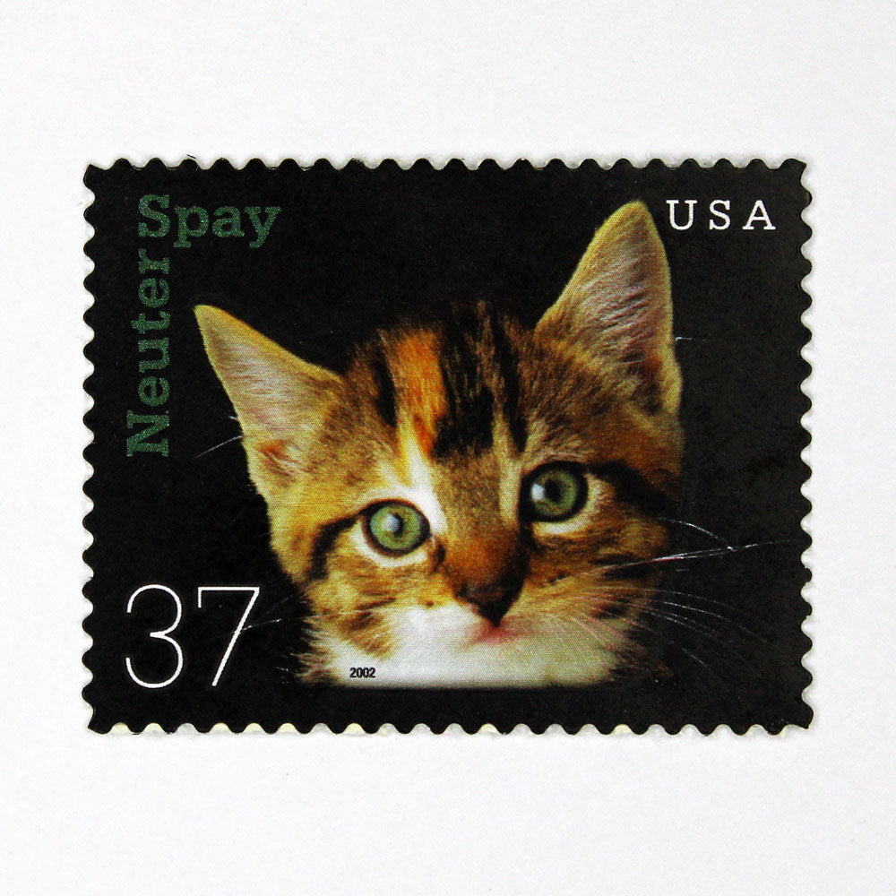 37c Kitten Stamps - Pack of 5