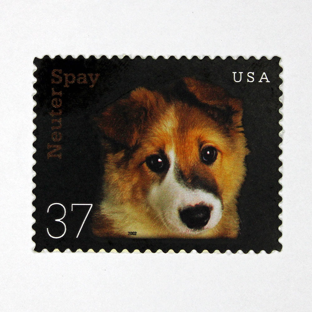 37c Puppy Stamps - Pack of 5