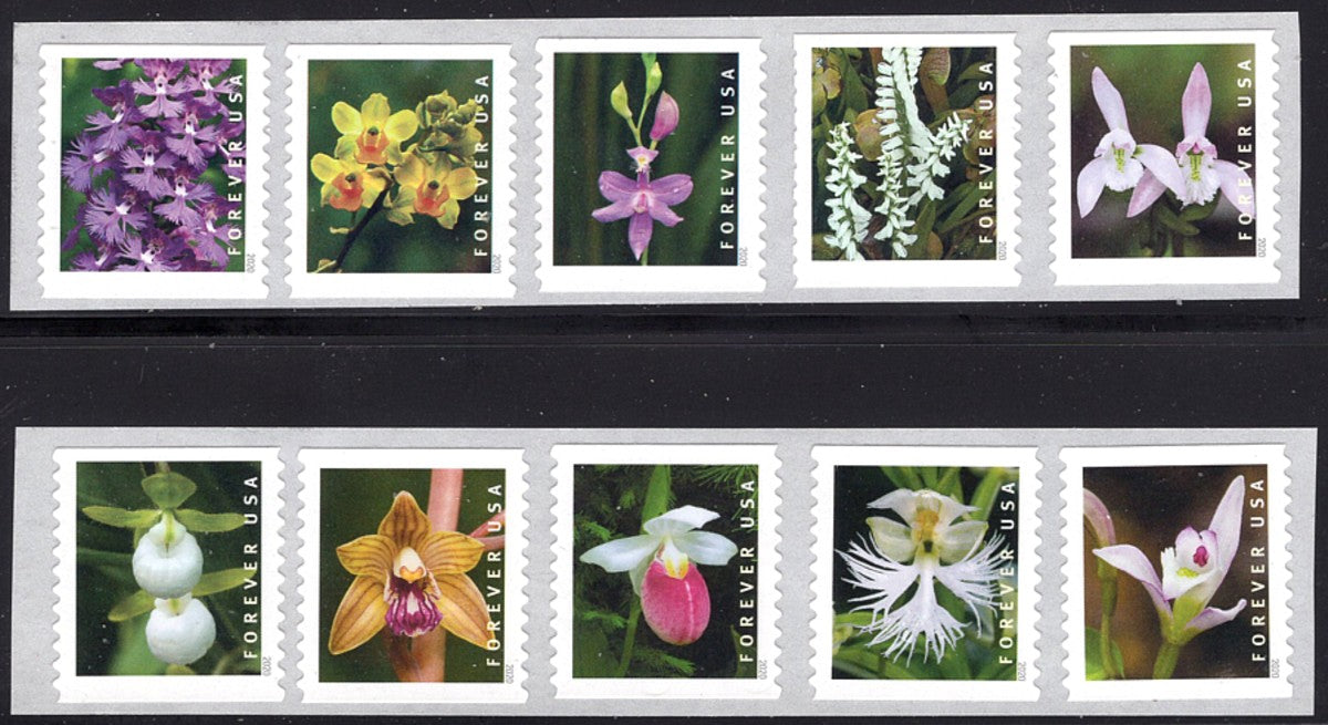Wild Orchids Set of 10 Forever stamps / Mail Wedding Invitations | Save the Date | Bridal Shower | Garden Flowers | self-sticking | RSVPs