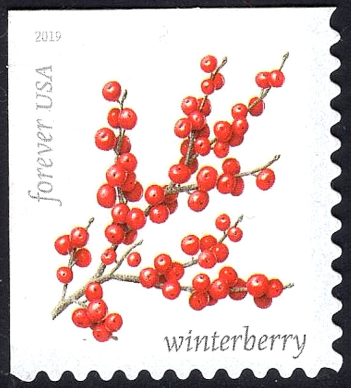 TEN Winterberry Forever (55c) stamp / Mail Wedding Invitations | Save the Dates | Bridal Shower | Wedding flowers | Bird food | Boho wedding