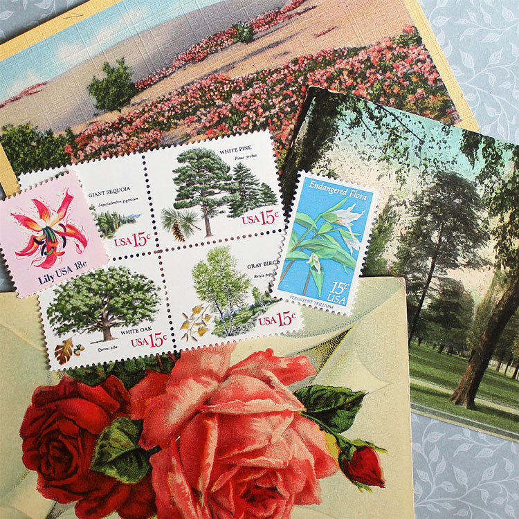 5 Wildflower Indian Paintbrush Unused Vintage USPS Postage Stamps. Fac –  our-artsy-treasure-trove