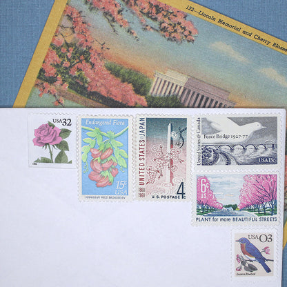 LOVE Pink and Blue - Mail 5 Letters