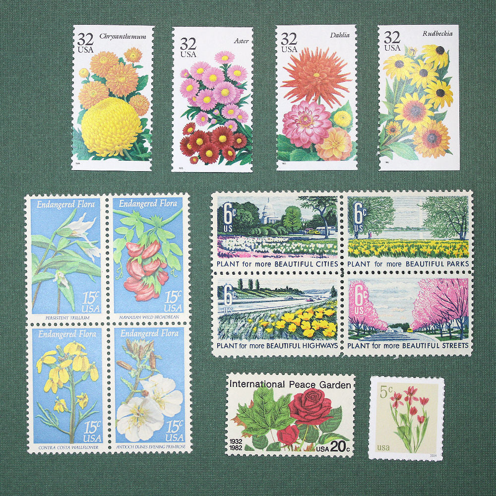 Botanical Beauties Curated Set - Mail 10 Letters