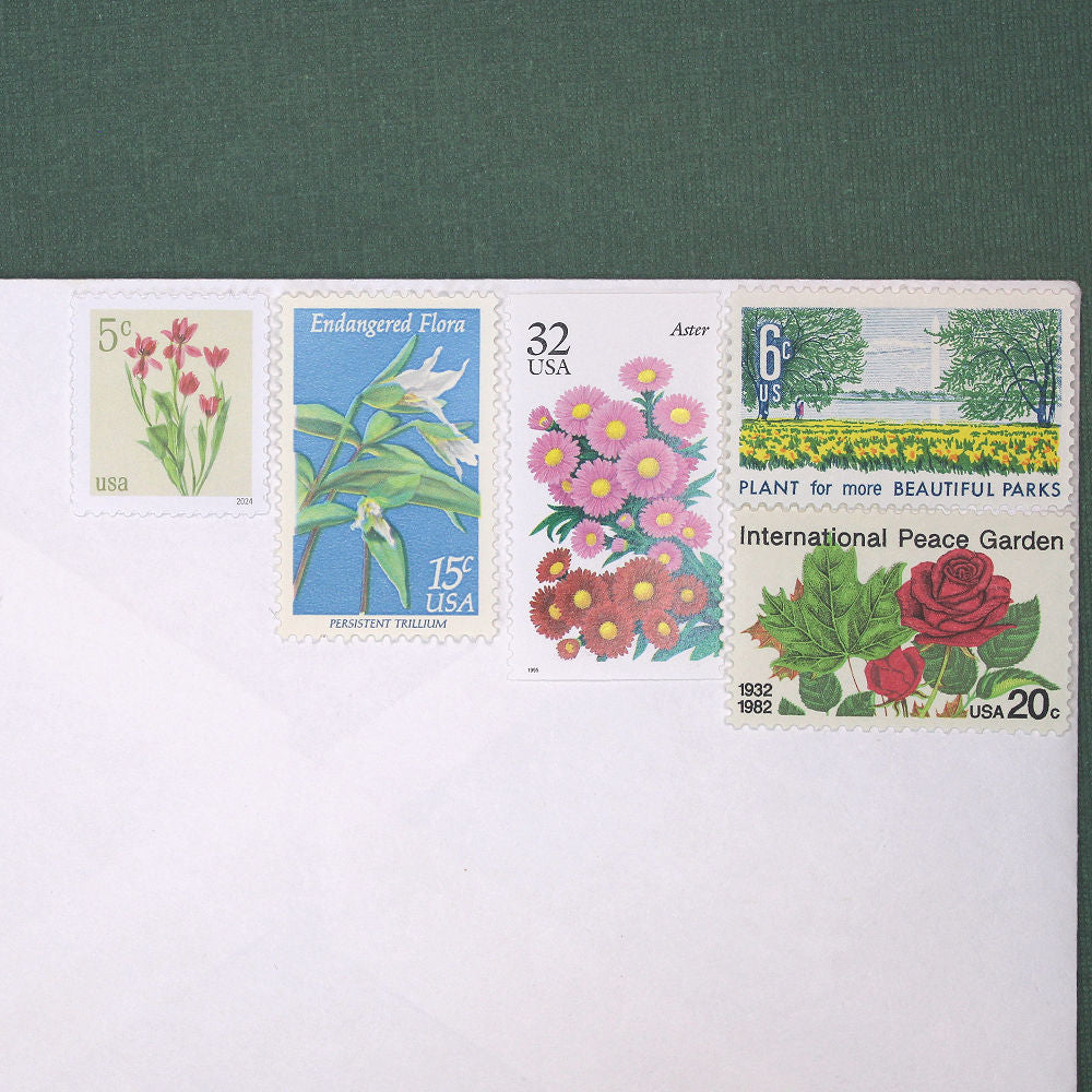 Botanical Beauties Curated Set - Mail 10 Letters