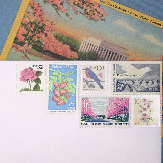 LOVE Pink and Blue - Mail 5 Letters