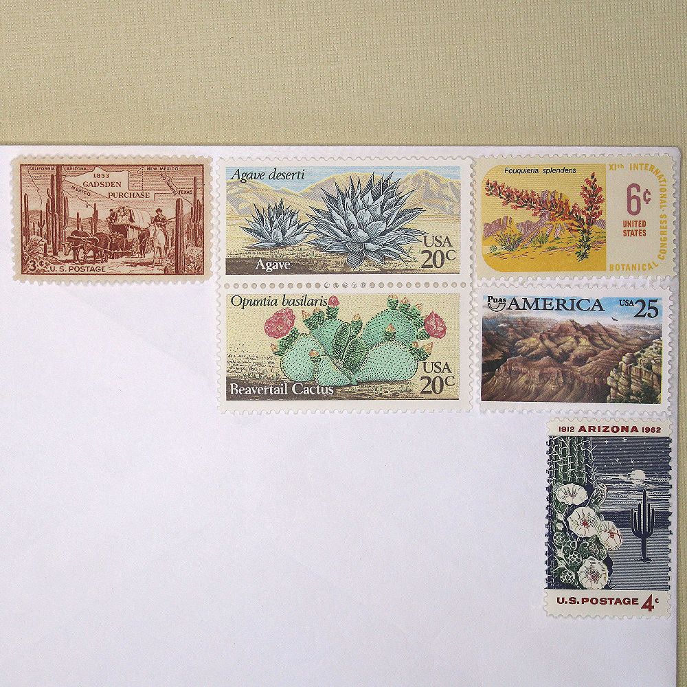 Southwestern Deserts Curated Set - Mail 5 Letters