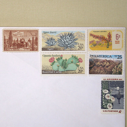 Southwestern Deserts Curated Set - Mail 5 Letters