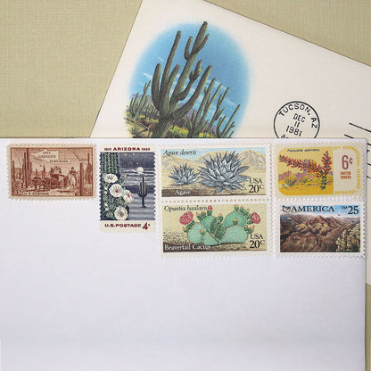 Southwestern Deserts Curated Set - Mail 5 Letters