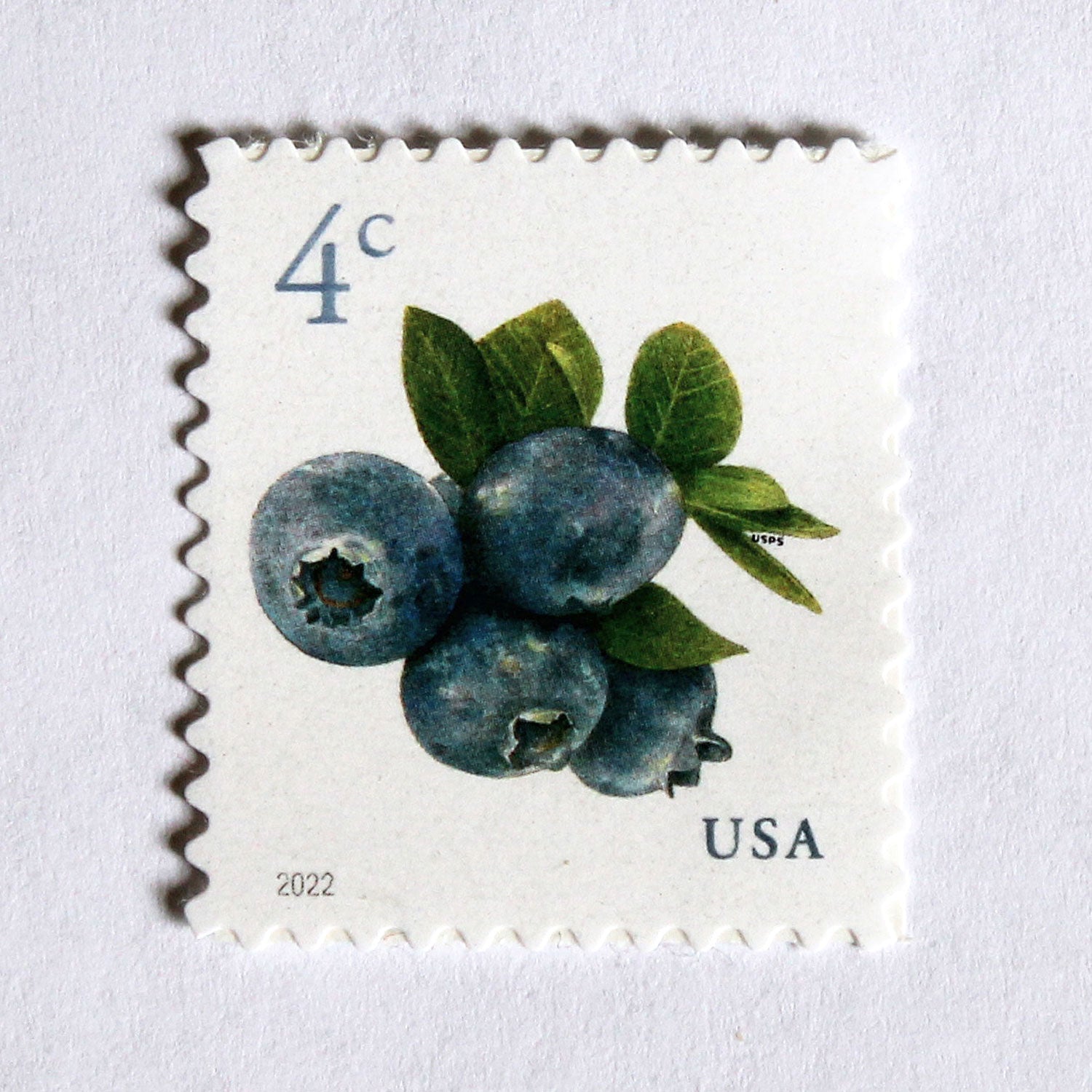 4c Blueberry Stamps Unused US Postage Stamps Pack Of 20