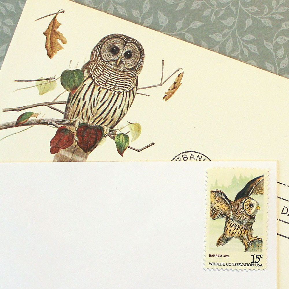 15c American Owls Stamps - Pack of 20