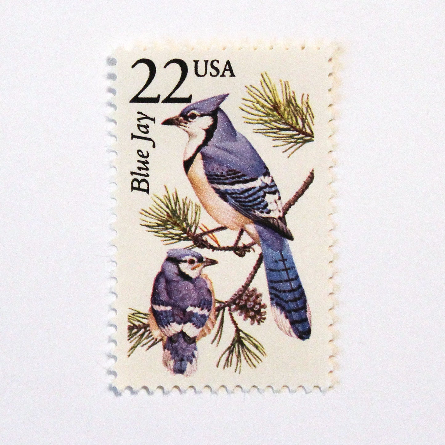 22c Blue Jay Wildlife Stamps - Pack of 5