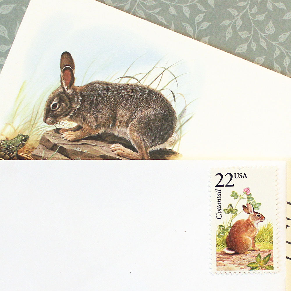 22c Cottontail Wildlife Stamps - Pack of 5