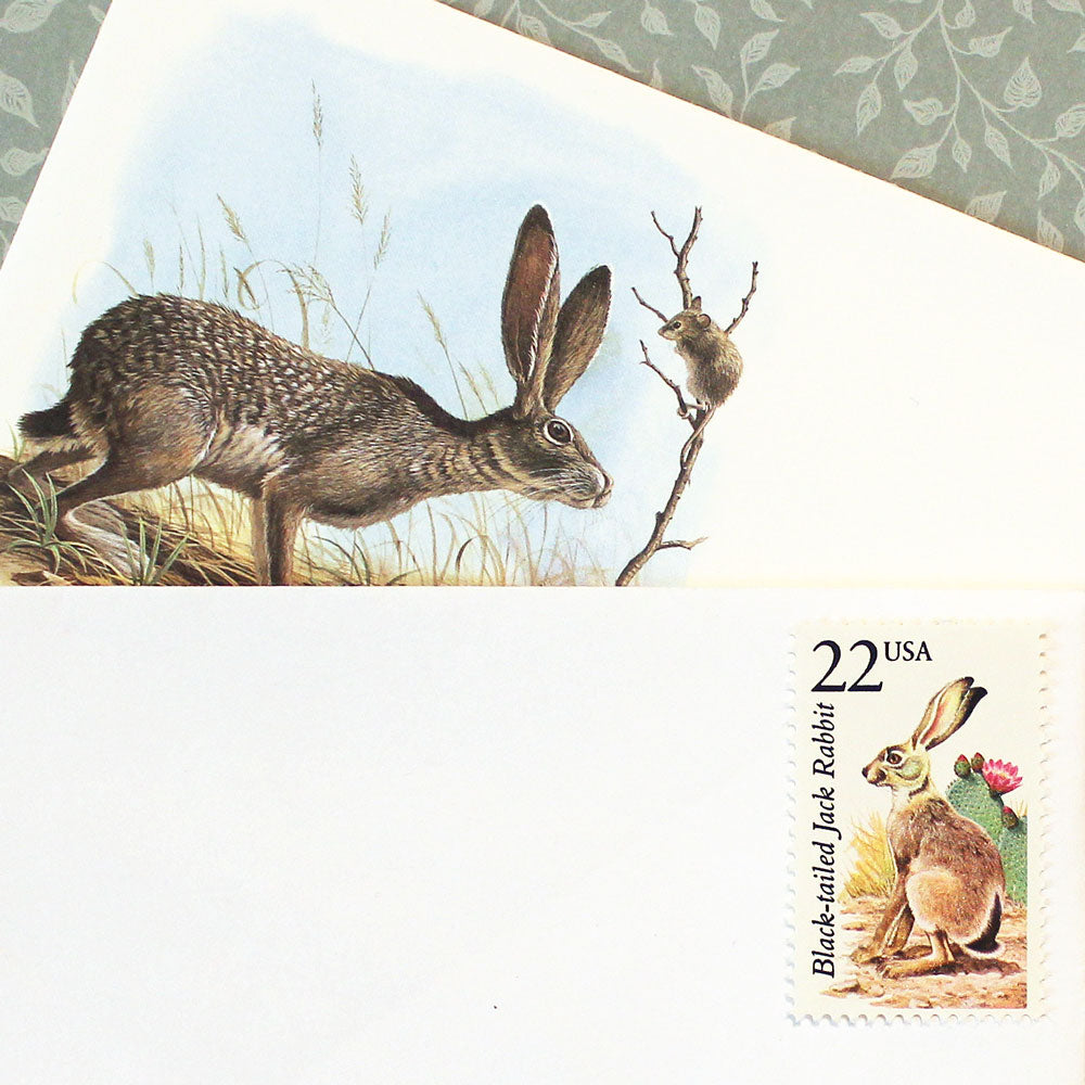22c Jack Rabbit Wildlife Stamps .. Vintage Unused US Postage Stamps ...
