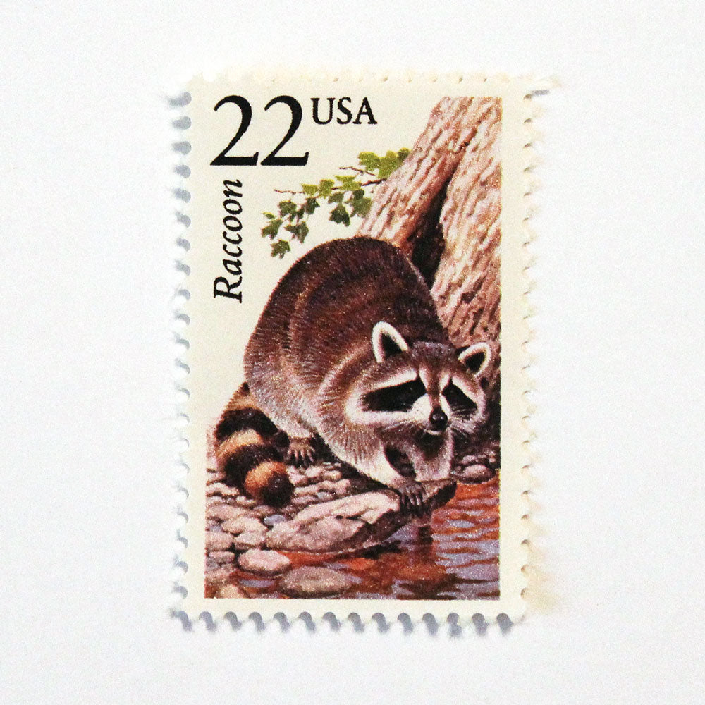 22c Raccoon Wildlife Stamps - Pack of 5