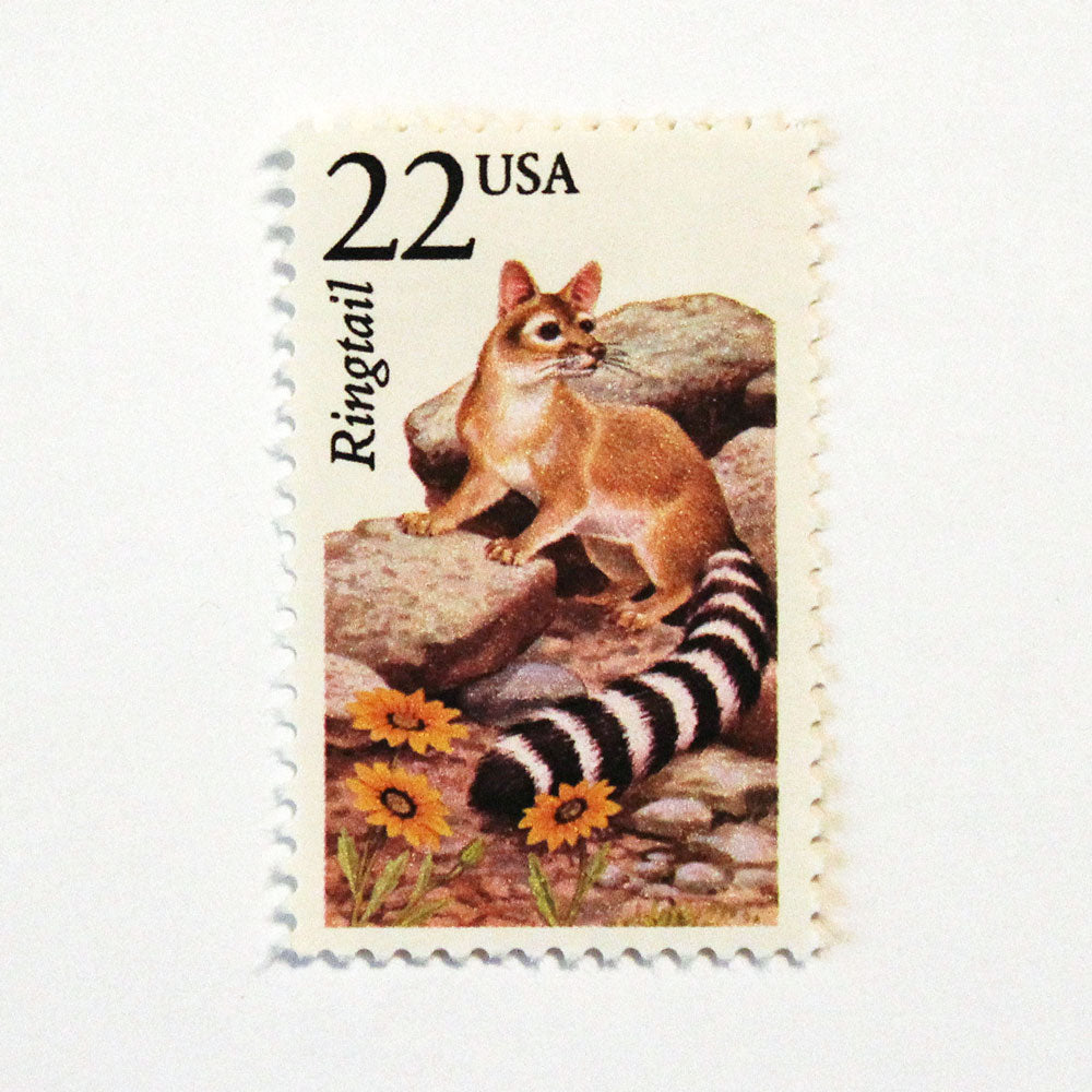 22c Ringtail Wildlife Stamps - Pack of 5