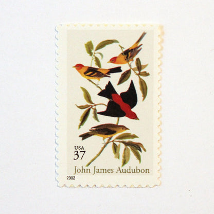 37c Audubon Stamps - Pack of 10