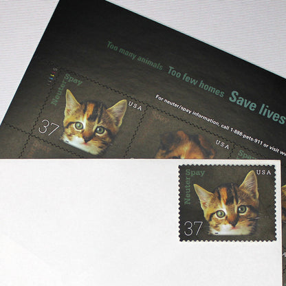 37c Kitten Stamps - Pack of 5