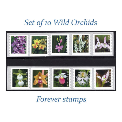 Wild Orchids Set of 10 Forever stamps / Mail Wedding Invitations | Save the Date | Bridal Shower | Garden Flowers | self-sticking | RSVPs