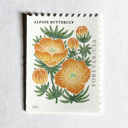 Alpine Buttercup Forever Stamps .. Unused US Postage Stamps .. Pack of 10