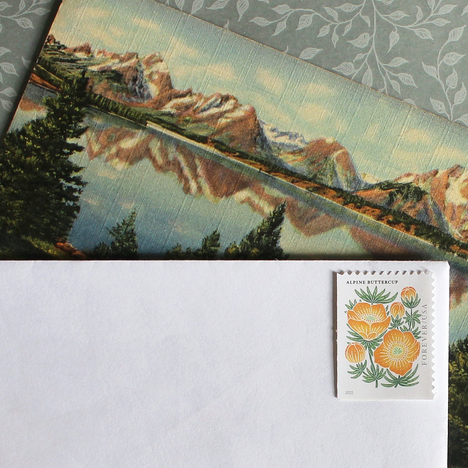 Alpine Buttercup Forever Stamps Unused US Postage Stamps