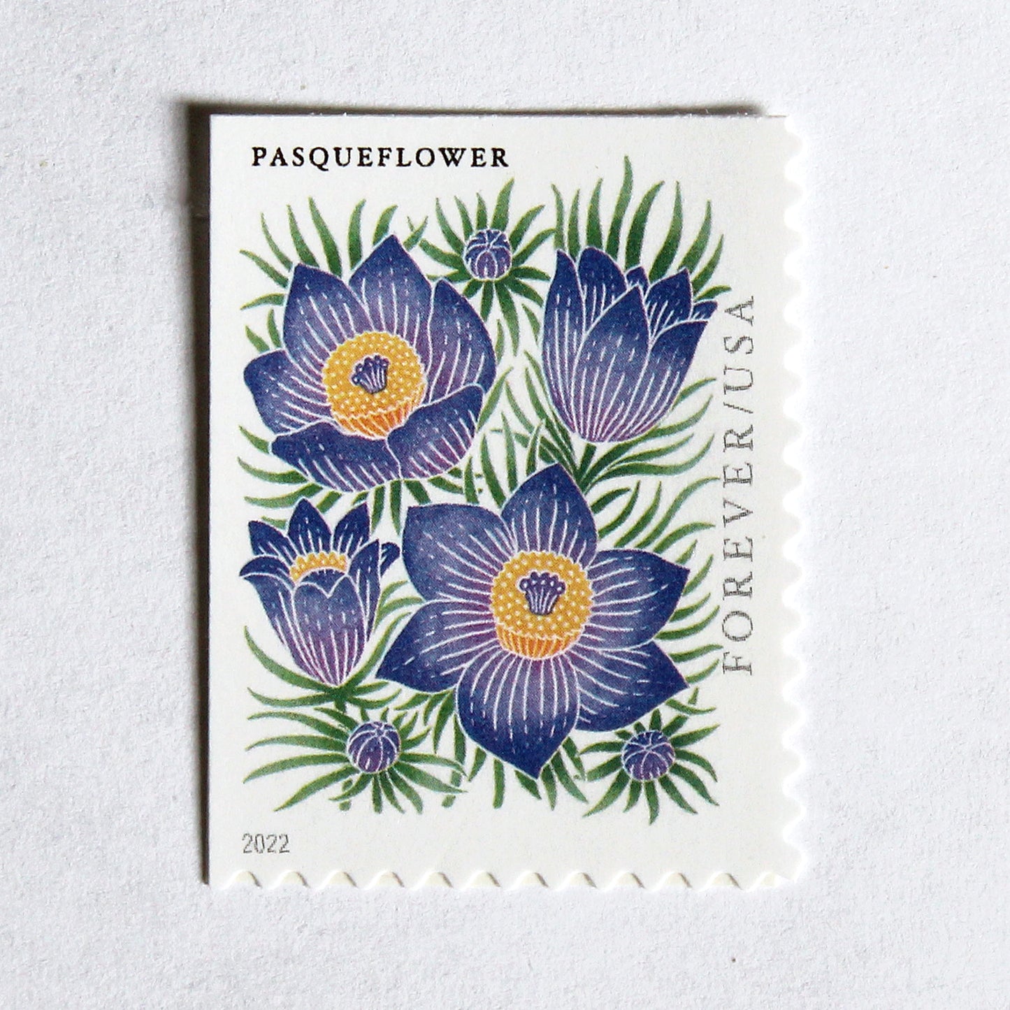 Pasqueflower Forever Stamps .. Unused US Postage Stamps .. Pack of 10